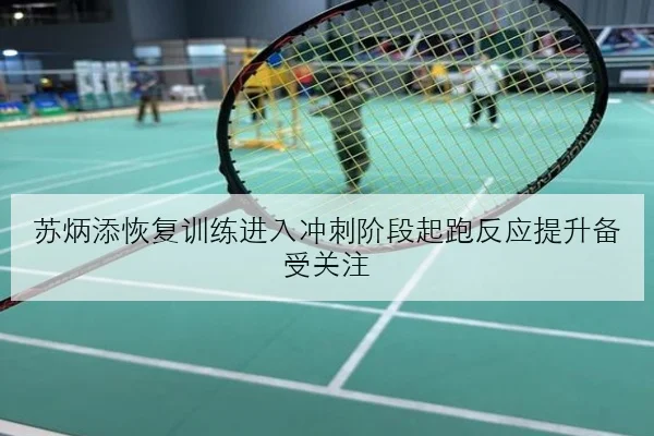 苏炳添恢复训练进入冲刺阶段起跑反应提升备受关注